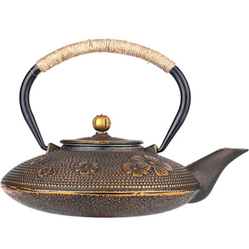 Bollitore per tè in ghisa con  - Cast Iron Teapot recensione e prezzo