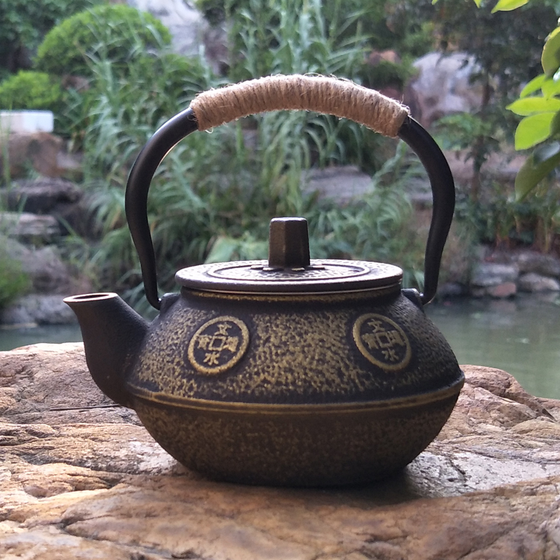 Teiera In ghisa Giapponese Tet - Cast Iron Teapot recensione e prezzo