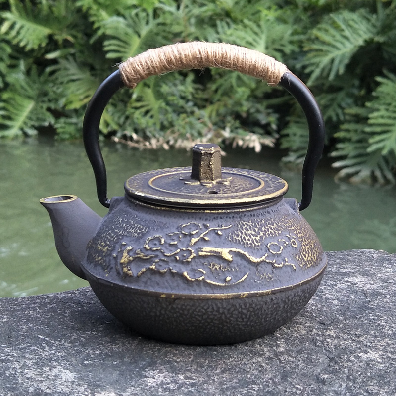 Teiera In ghisa Giapponese Tet - Cast Iron Teapot recensione e prezzo